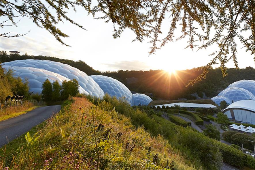 A carpet of wildflowers will greet visitors approaching Eden. Image: Hufton+Crow