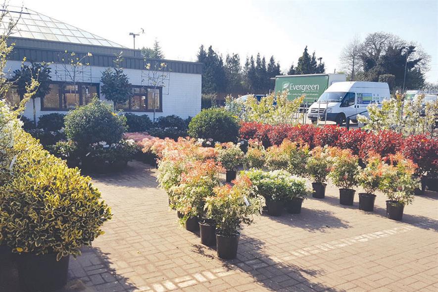 Image: Evergreen Exterior Services