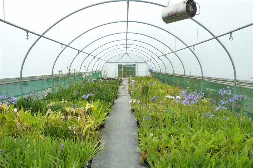 Evolution Plants. Image: Supplied
