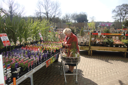 Garden centres are still outperforming the high street - image: HW