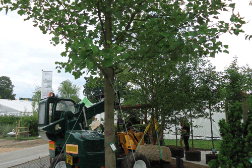 Majestic Trees objects to William Sinclair's pro-peat ban stance - image: HW