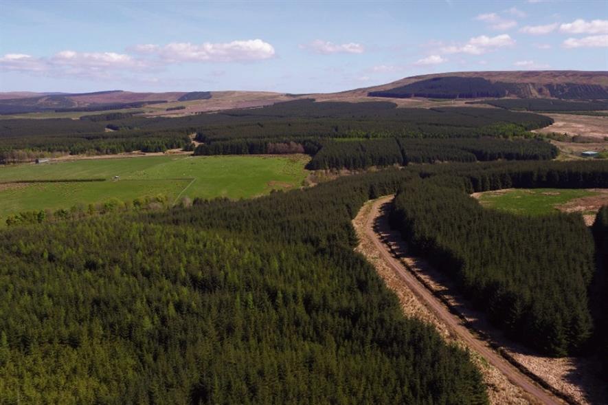 Image: John Clegg & Co / Tilhill Forestry