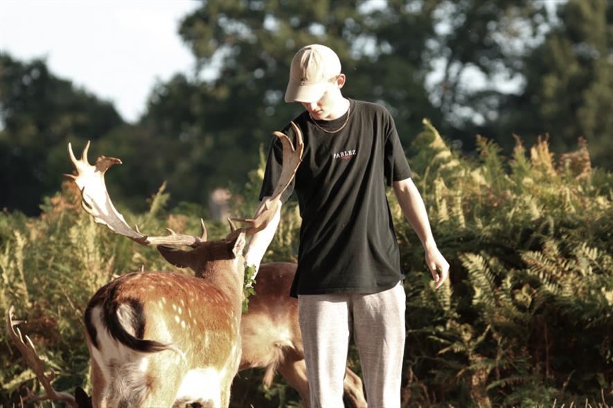 Feeding deer dangerous to the animals and public, warns Royal Parks