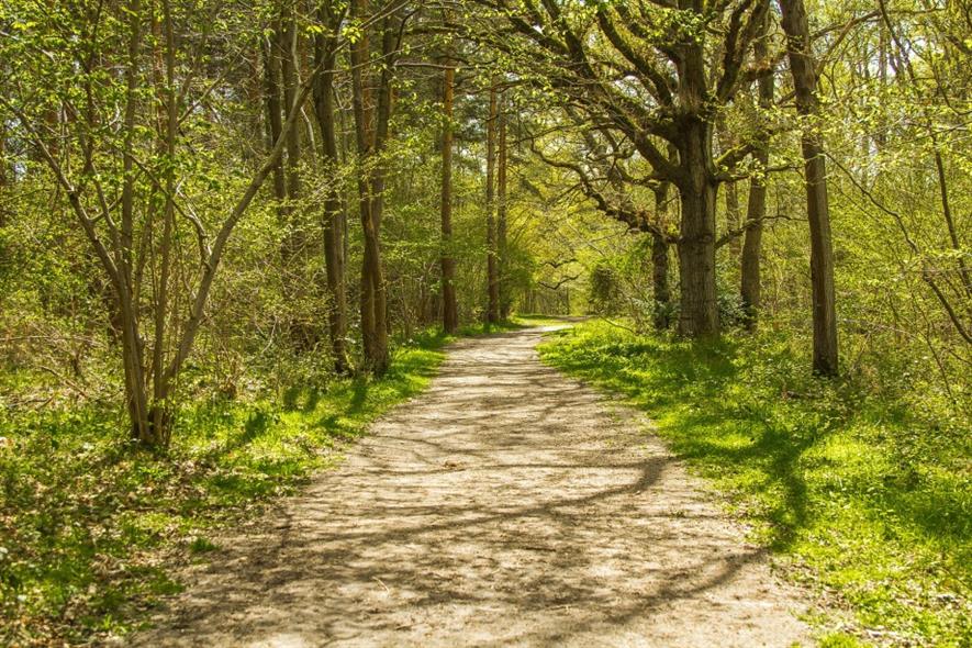 New Forest School among projects supported by London mayor Sadiq Khan. Image: Pixabay