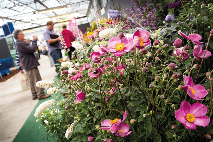 Four Oaks Trade Show - image: HW