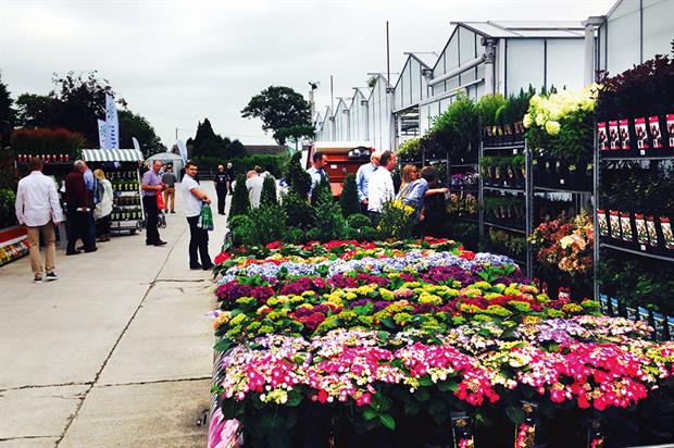 Four Oaks: Going virtual at https://www.hortweek.com/four-oaks