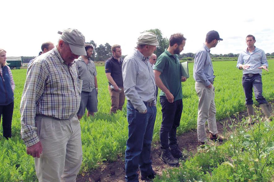 GREATsoils: the first project demonstration in a series of field trials was held on 6 July at two sites in East Anglia - image: Angela Huckle