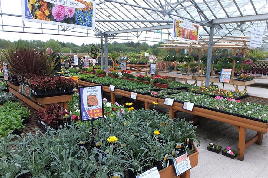 How Will Buying Group Choice Marketing Grow Its Garden Centre