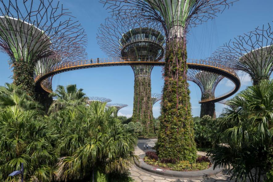 The Gardens By the Bay supertrees. Image: Grant Associates