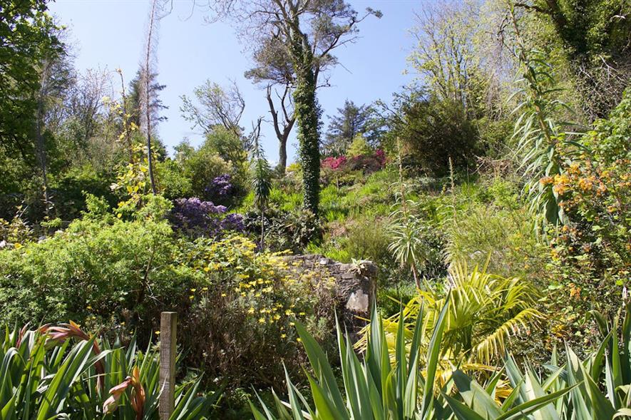 Achamore Gardens - image: Gigha Heritage Trust