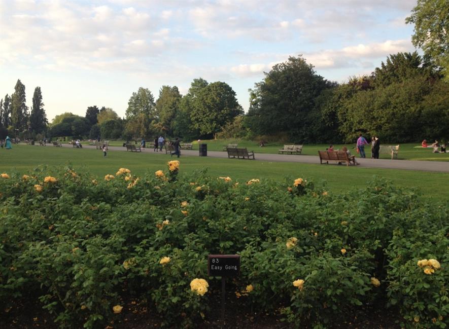 Just spending time in a park can improve mental health, study finds. Image: HW