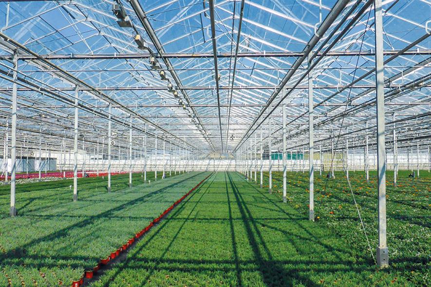 Glasshouse technology HortWeek