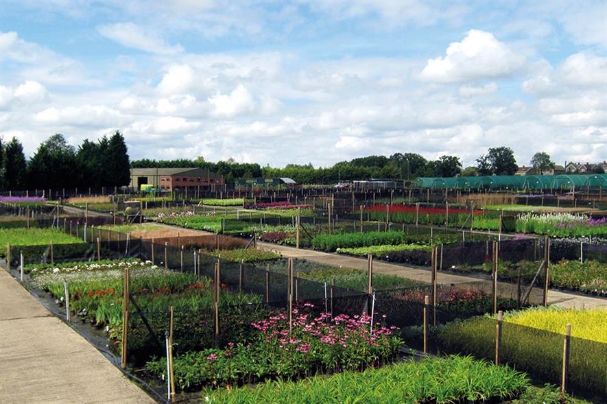 Image: Glendale Horticulture