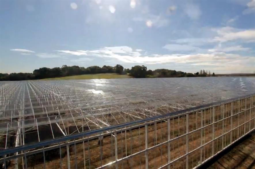 Two new salad glasshouses open in east of England Horticulture Week