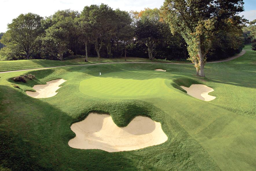 Creeping bent: 007 DSB developed in USA to withstand extreme weather conditions - image: Germinal
