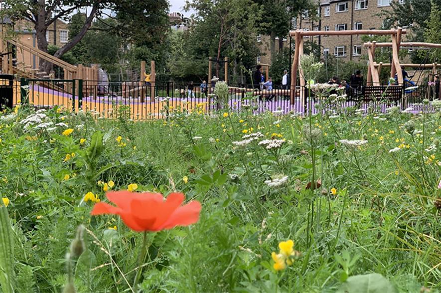 London park with wildflowers and playground