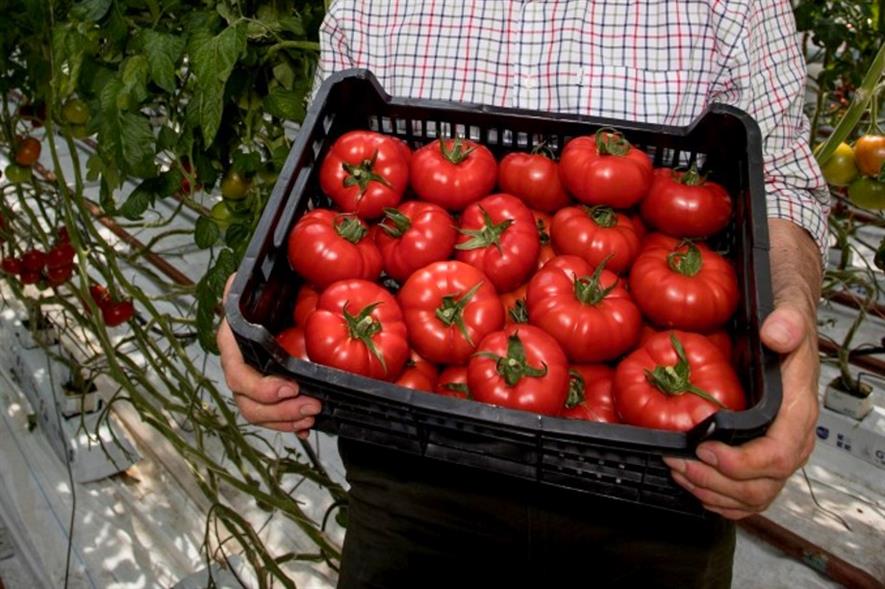 Asda to trial extrasweet UKbred beefsteak tomato HortWeek