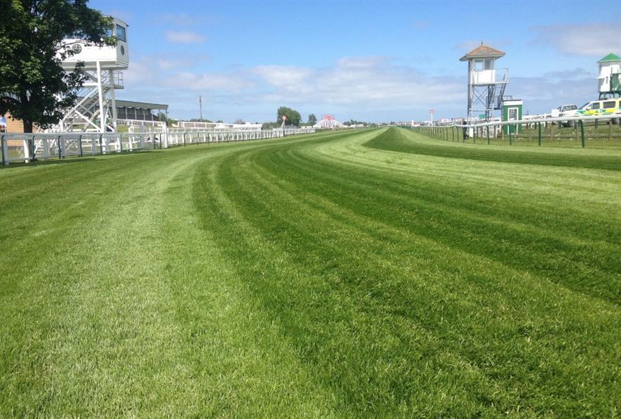 Great Yarmouth Racecourse uses Rigby Taylor products. Image: Rigby Taylor