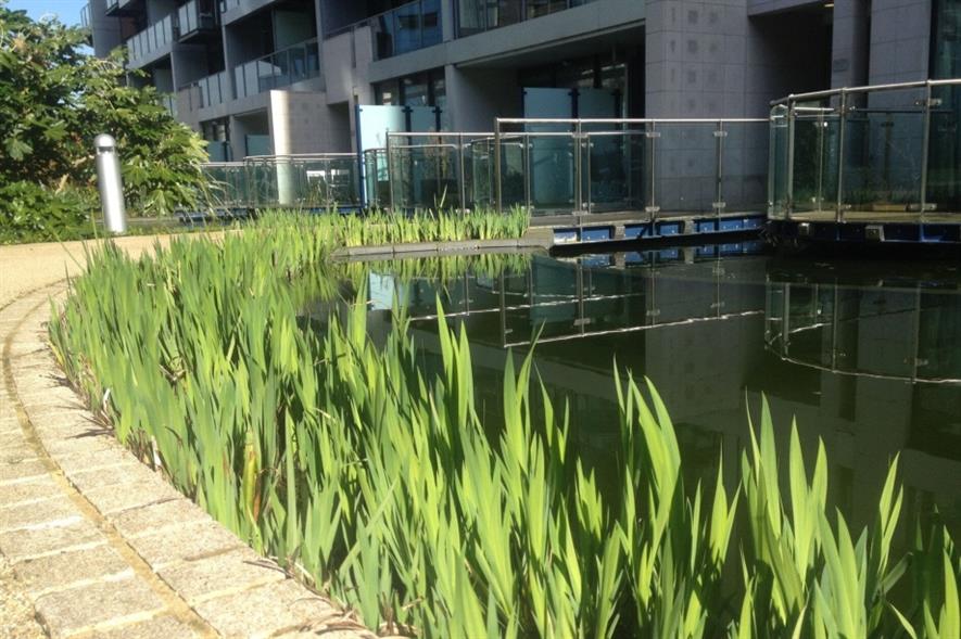 Groundscape looks after several corporate clients. Image: Scotscape