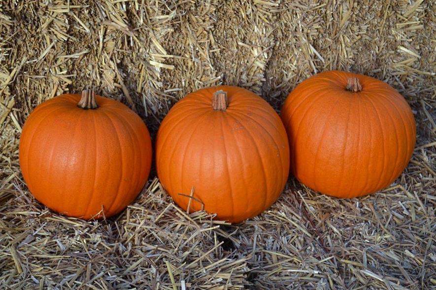 Image: CN Seeds