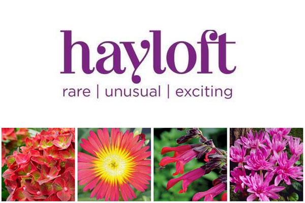 Hayloft Plants Reaches 12 5m Sales After Three Years Growth In Eight Weeks Horticulture Week