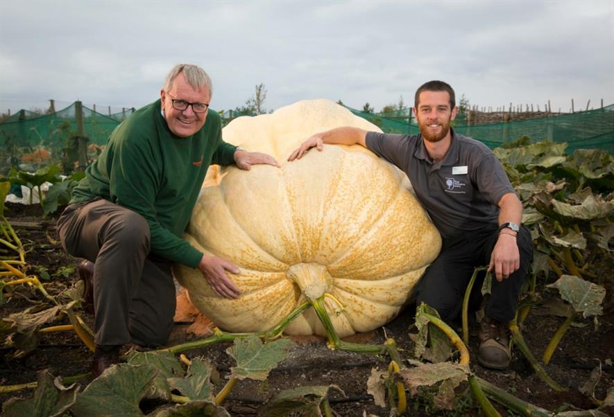 Paul Hansord horticultural director, Thompson & Morgan (left) with Matthew Oliver and the pumpkin. Image: RHS/Suzanne Plunkett