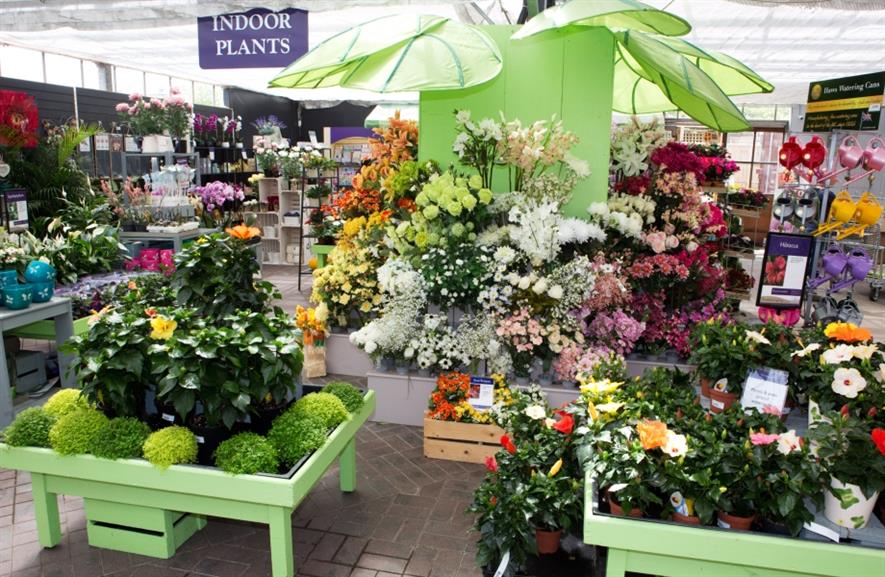 Houseplants were good sellers this January. Image: HW