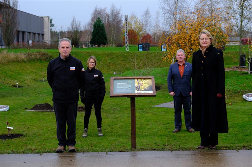 The 15 witch hazel were planted at the National Memorial Arboretum - credit: Phillip Nixon
