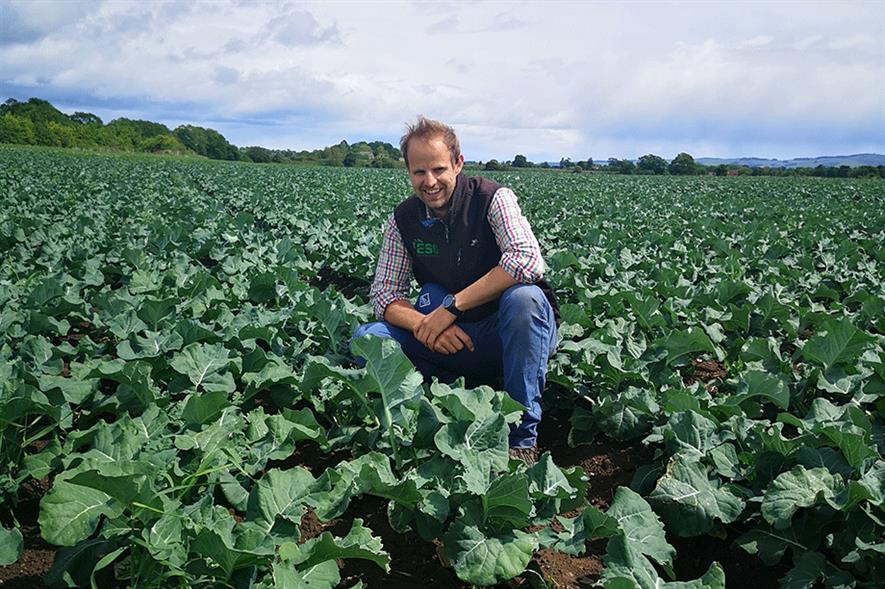 James Rome, Agronomist, East of Scotland Growers Ltd - image: AHDB
