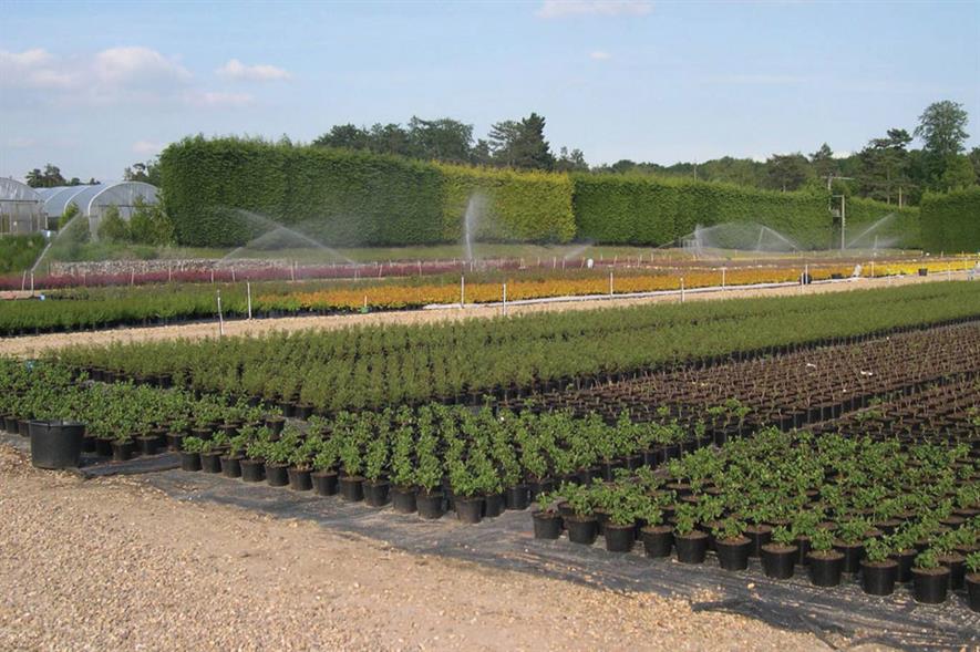 Nursery irrigation & drainage HortWeek