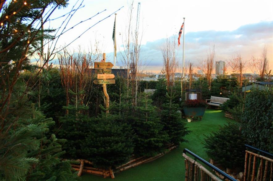 The John Lewis Christmas roof garden features 250 firs