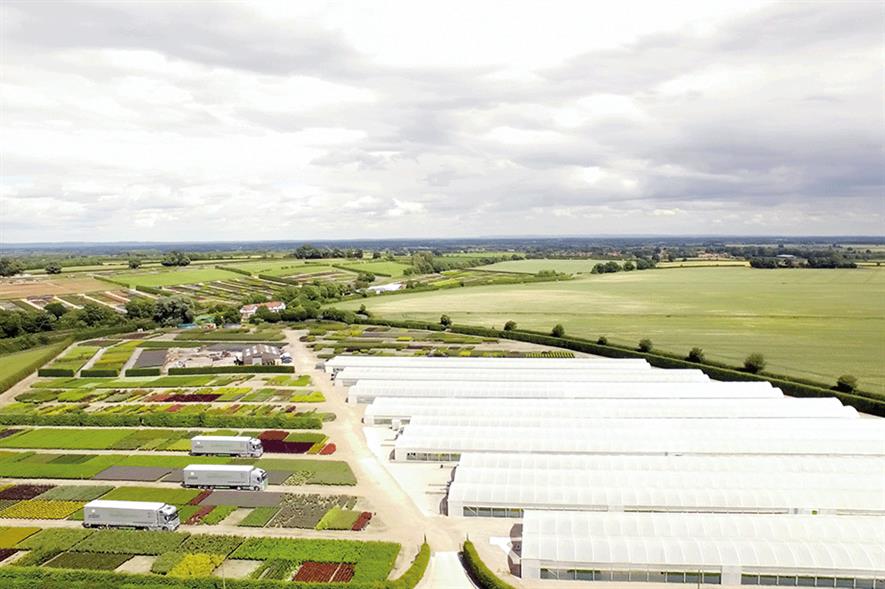 Johnsons of Whixley's sales went up last year - image: Johnson's of Whixley