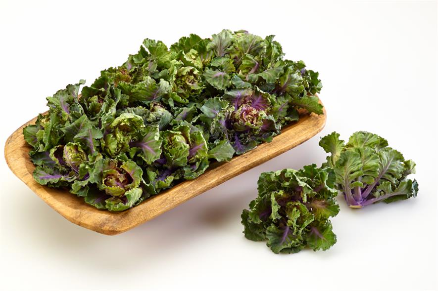 Kalettes: the kale sprout that has garnered positive US media spin