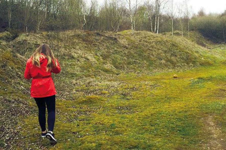 Liverpool: board aims to join up pockets of green space. Image: Simon O’Brien