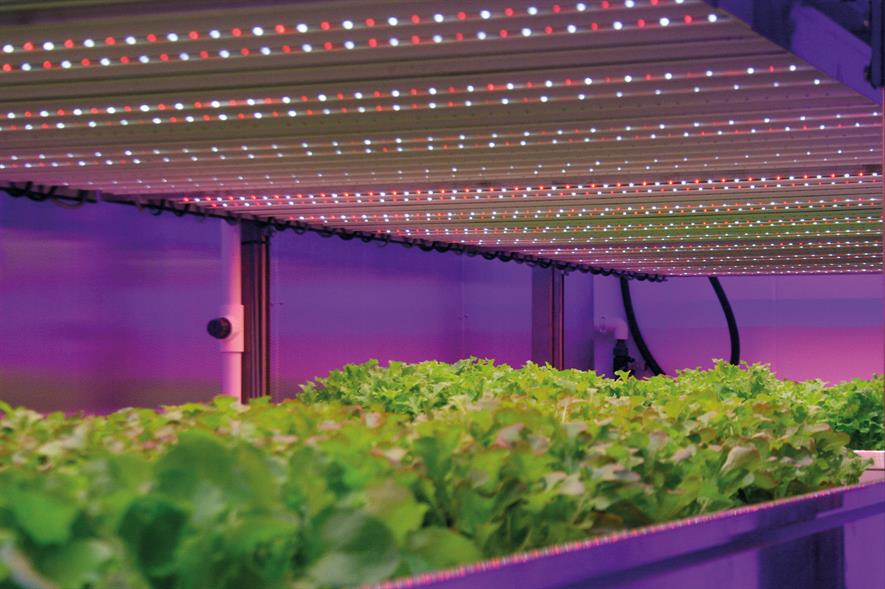 LEDs: indoor growing can minimise transport distance - image: HW