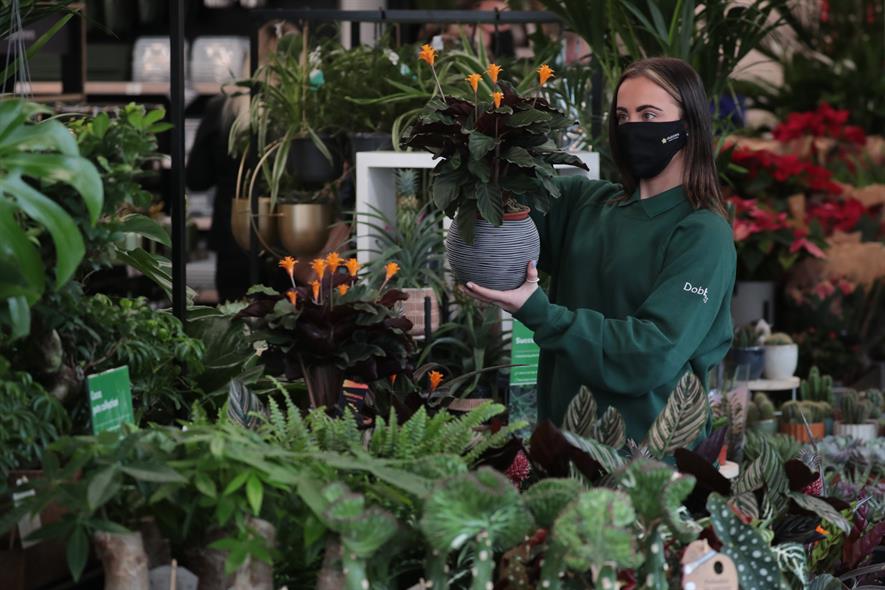 Little Dobbies Garden Centre To Open In Bristol Horticulture Week