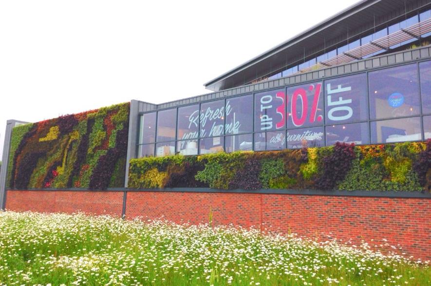 New living wall at Barker & Stonehouse. Image: Supplied