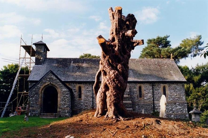 Remains of an ancient churchyard yew in Llangammarch, Powys - Image: Barrell Tree Consultancy