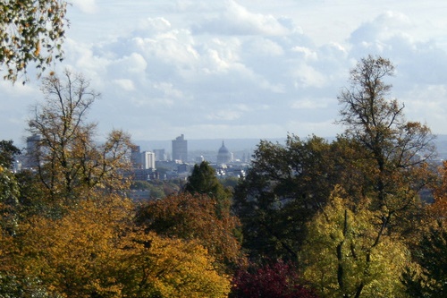 London trees - image:HW
