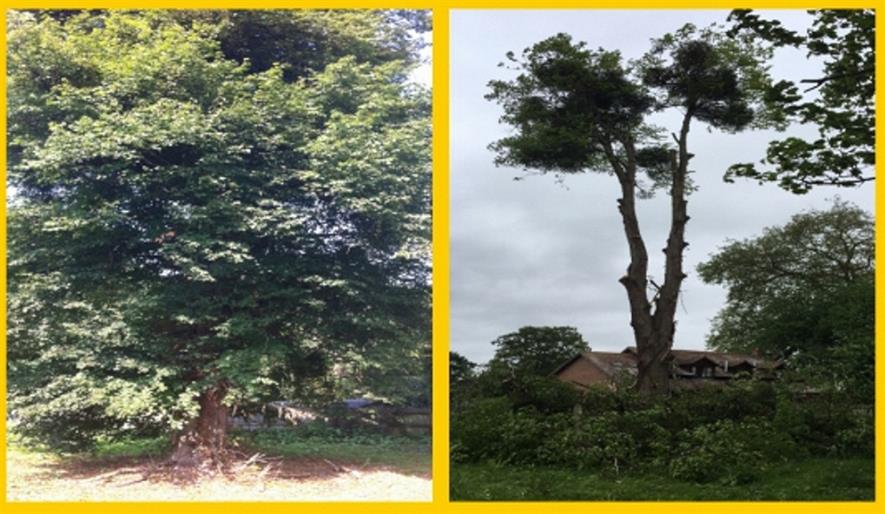Image: Herefordshire Council