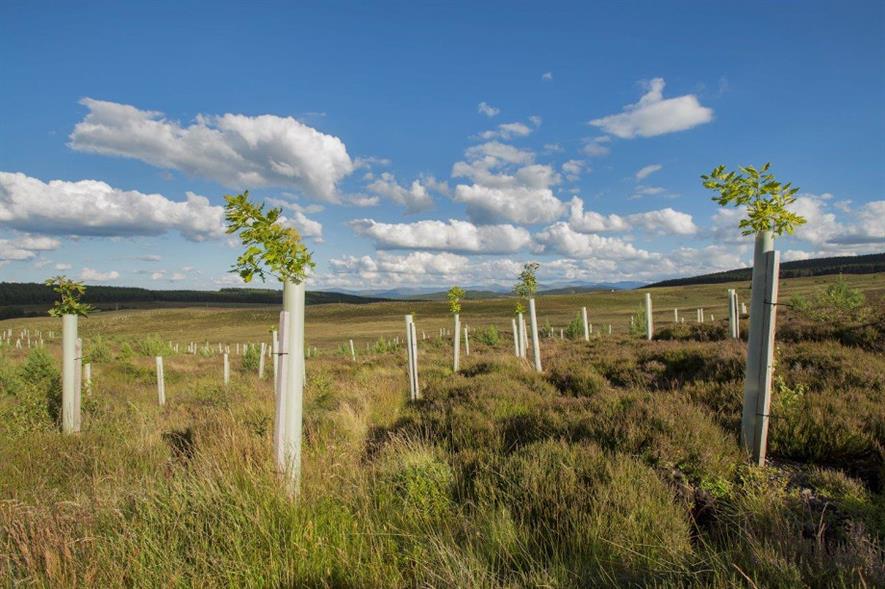 The Preparing Woodland Creation Applications guide is intended for small landowners - credit: Scottish Forestry
