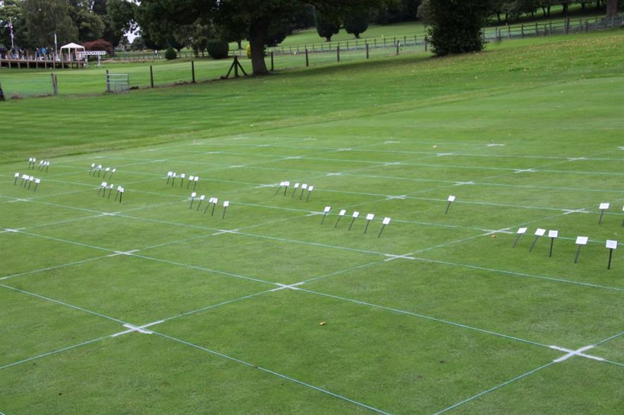 The Microdochium Patch trials at STRI last season. Image: Bayer