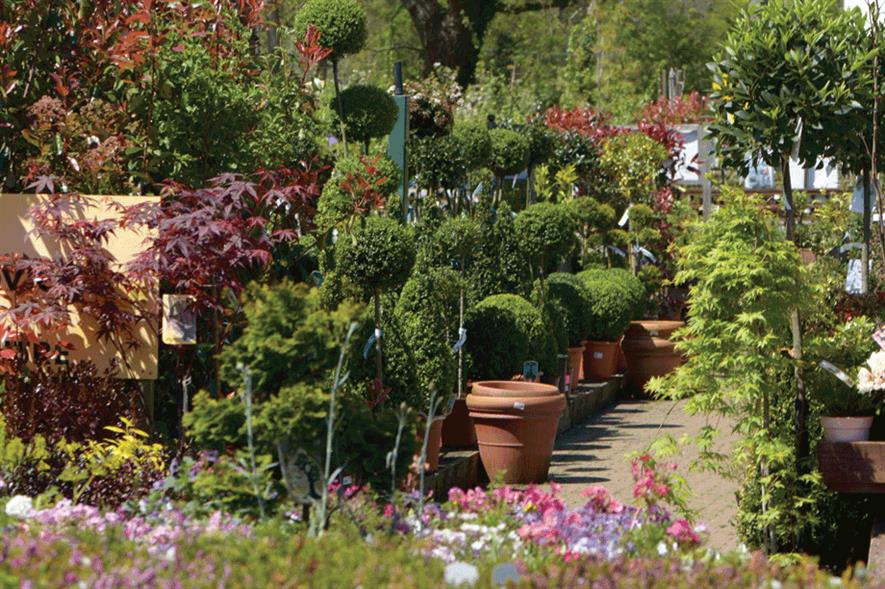 Top 100 profile Monkton Elm HortWeek