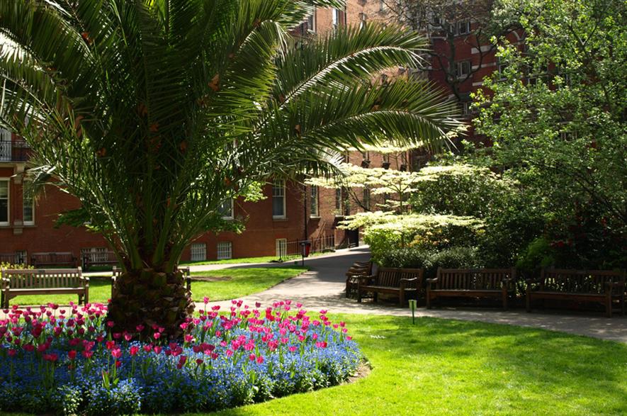 Mount Street Gardens. Image: Supplied