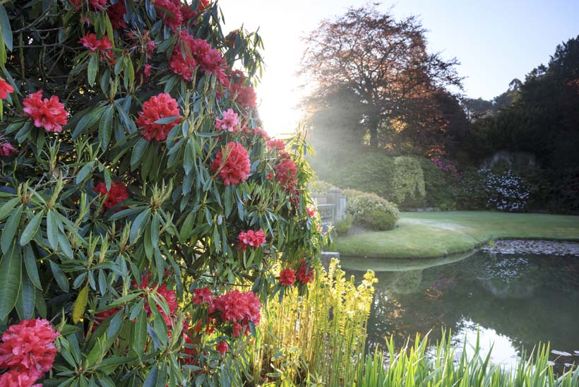 Biddulph Grange Garden, a Victorian garden, located near Stoke-on-Trent, Staffordshire