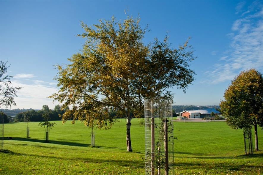 Netham Park in Bristol where the city council proposes a complete funding cut from 2019/20. Image: Andrew Bennett/ Flickr