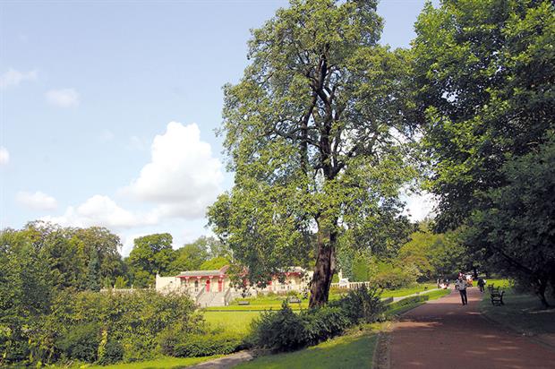 More than 400 hectares could be placed in a trust. Image: Newcastle City Council