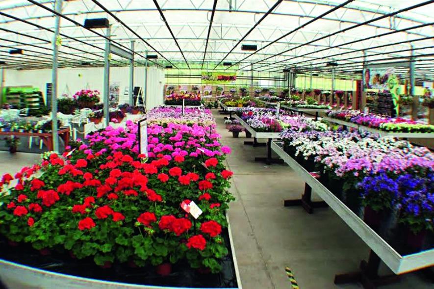 Newey Group: hosting trade fair