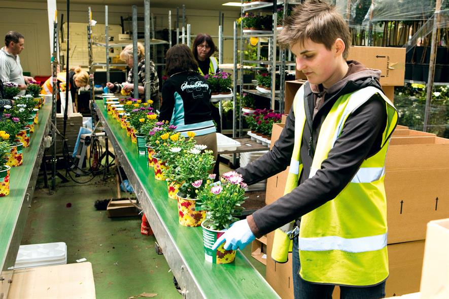 Employment: industry tells politicians British workers cannot fill gap should foreign staff be prohibited from UK
