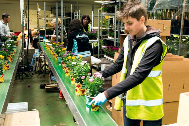 Workers